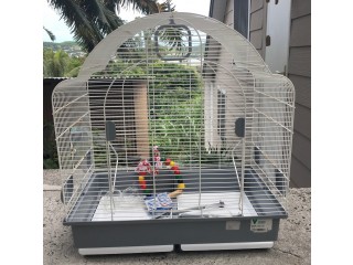 Vends cage pour oiseaux