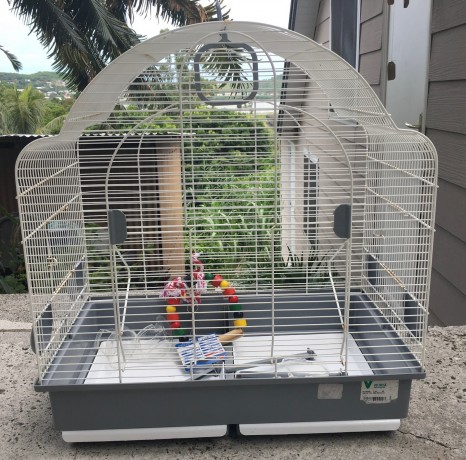 vends-cage-pour-oiseaux-big-0