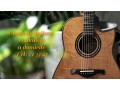 cours-de-guitare-et-ukulele-small-0