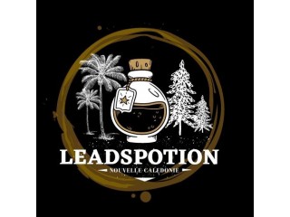 Boostez votre business avec Leadspotion nc !