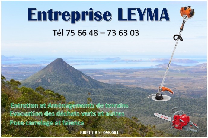 entreprise-leyma-entretien-espaces-verts-carrelage-big-0