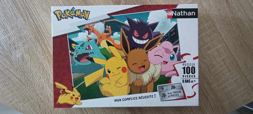vend-puzzle-pokemon-edition-nathan-big-1
